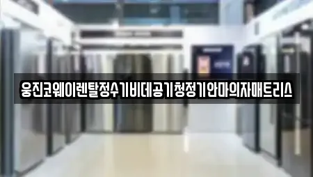 서악동 비데렌탈 업체 현황 11곳