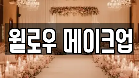 윌로우 메이크업