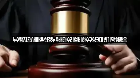 누수탐지공사빠른천정누수배관수리설비하수구싱크대변기막힘뚫음