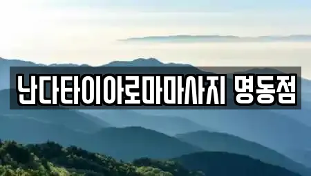 난다타이아로마마사지 명동점