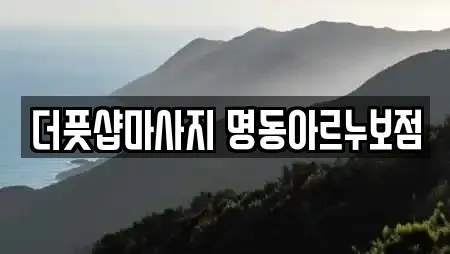 더풋샵마사지 명동아르누보점