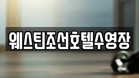 웨스틴조선호텔수영장