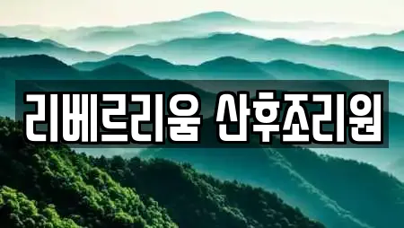 리베르리움 산후조리원