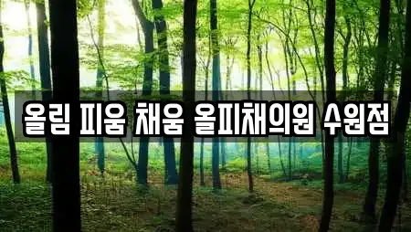 올림 피움 채움 올피채의원 수원점