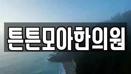 튼튼모아한의원