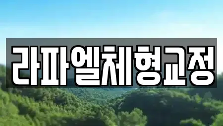 라파엘체형교정