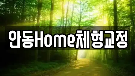 안동Home체형교정