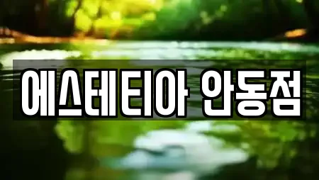 에스테티아 안동점