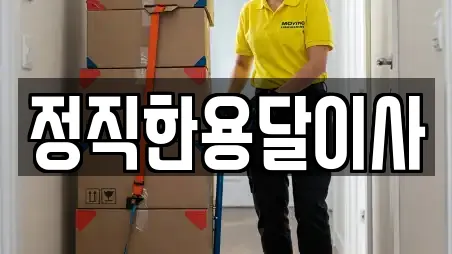 정직한용달이사