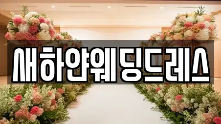 새하얀웨딩드레스