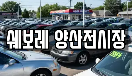 쉐보레 양산전시장