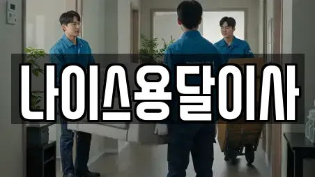 나이스용달이사