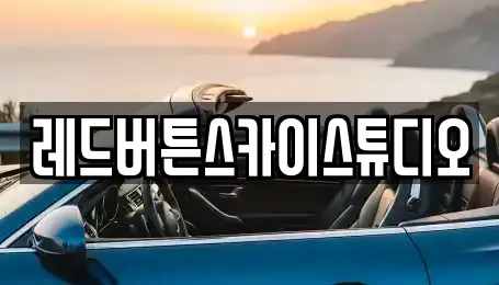 레드버튼스카이스튜디오