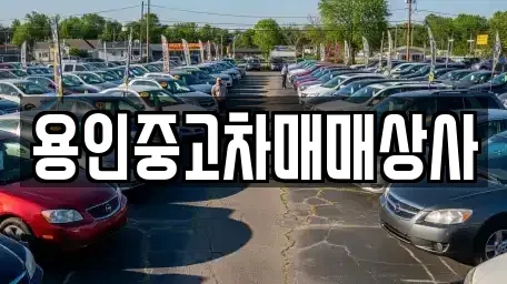 용인시 처인구 중고차 업체 정보 20건 용인시 처인구 중고차 업체 정보 20건