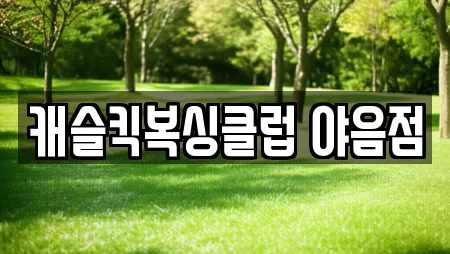 캐슬킥복싱클럽 야음점