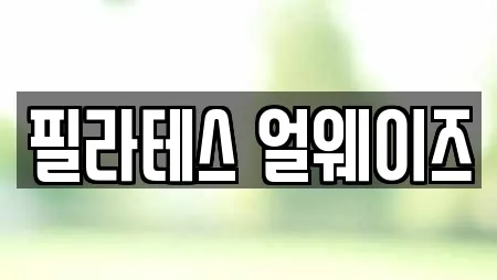 필라테스 얼웨이즈