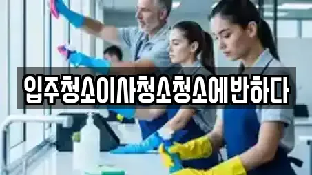 입주청소이사청소청소에반하다