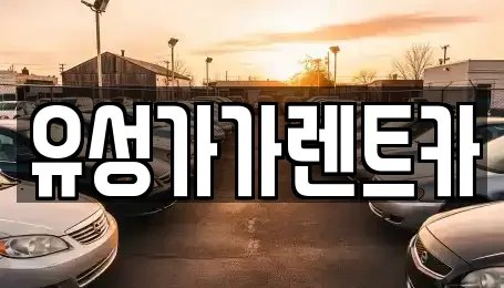 유성가가렌트카