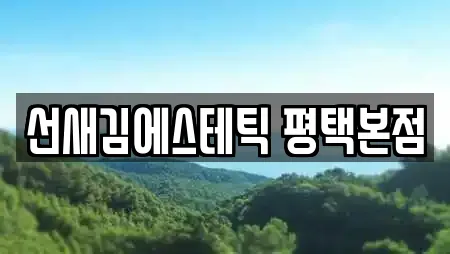 선새김에스테틱 평택본점