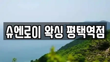 슈엔로이 왁싱 평택역점