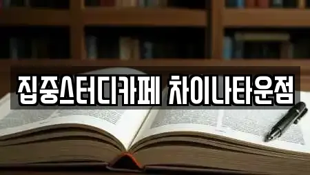 집중스터디카페 차이나타운점