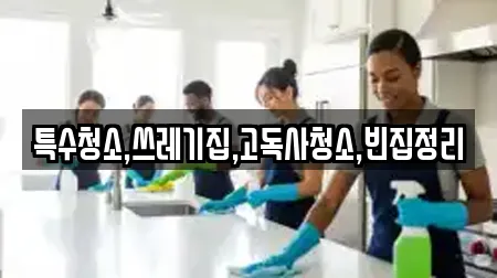 특수청소,쓰레기집,고독사청소,빈집정리
