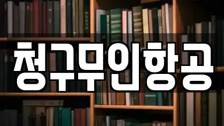 청구무인항공
