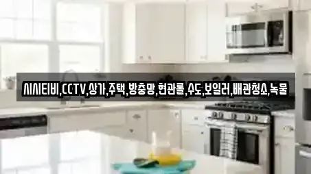 시시티비,CCTV,상가,주택,방충망,현관롤,수도,보일러,배관청소,녹물