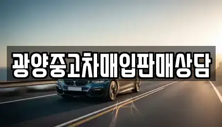 렌트카 선택 가능한 4곳 (전남 황금동)