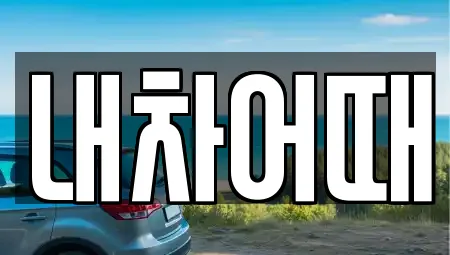 내차어때