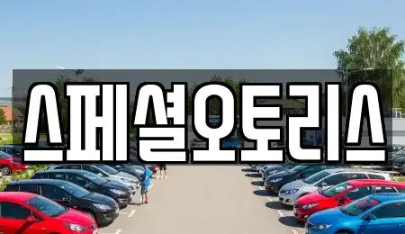 스페셜오토리스