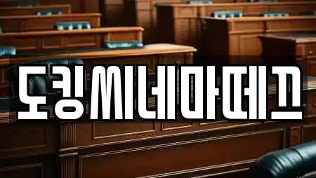 도킹씨네마떼끄