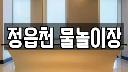 정읍천 물놀이장