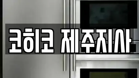 코히코 제주지사