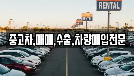 중고차,매매,수출,차량매입전문