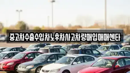중고차수출수입차노후차사고차량매입매매센타