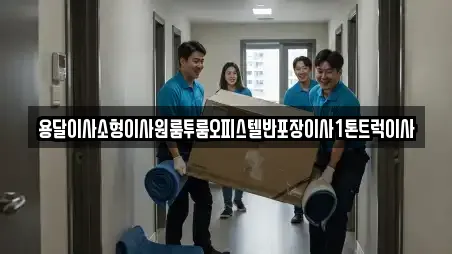 용달이사소형이사원룸투룸오피스텔반포장이사1톤트럭이사