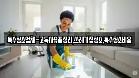 특수청소업체-고독사유품정리,쓰레기집청소,특수청소비용