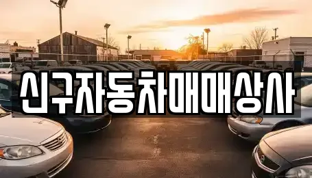 신구자동차매매상사