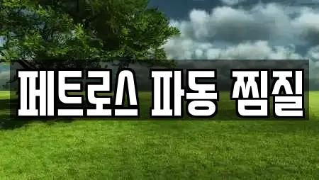 페트로스 파동 찜질