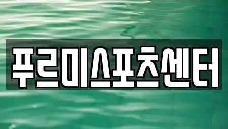 푸르미스포츠센터