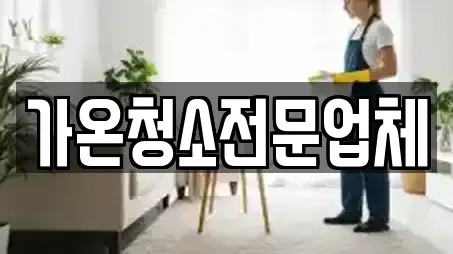 가온청소전문업체