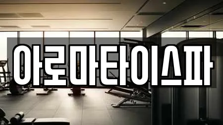 아로마타이스파