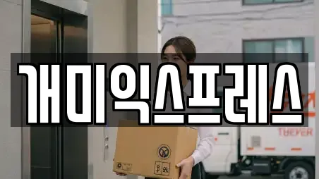 개미익스프레스