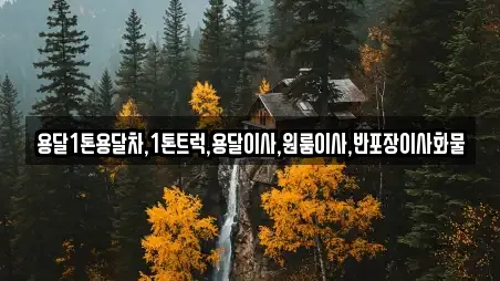 용달1톤용달차,1톤트럭,용달이사,원룸이사,반포장이사화물