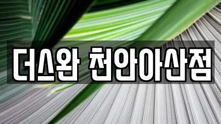 더스완 천안아산점