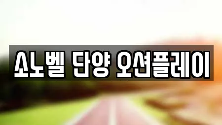 소노벨 단양 오션플레이
