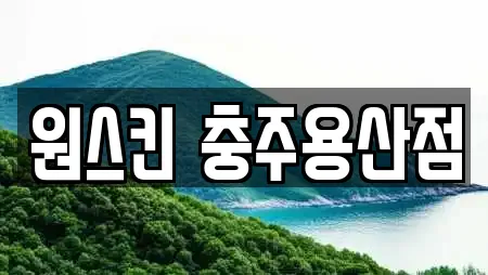 원스킨 충주용산점
