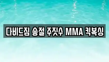 다비드짐 송절 주짓수 MMA 킥복싱