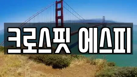 크로스핏 에스피